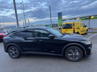 Ford Mustang Mach-E Gebrauchtwagen