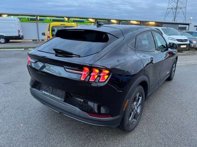 Ford Mustang Mach-E Gebrauchtwagen