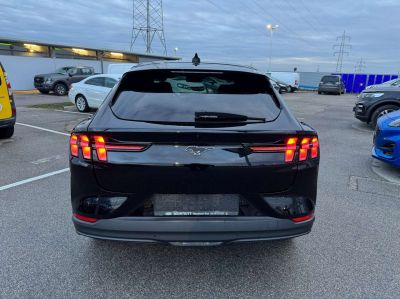Ford Mustang Mach-E Gebrauchtwagen