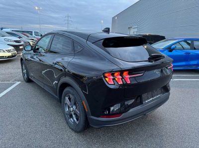 Ford Mustang Mach-E Gebrauchtwagen