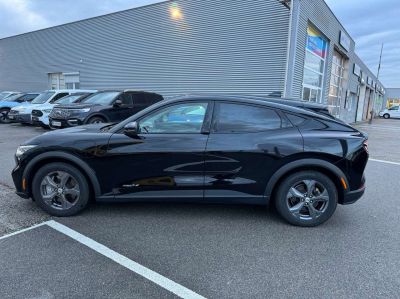 Ford Mustang Mach-E Gebrauchtwagen