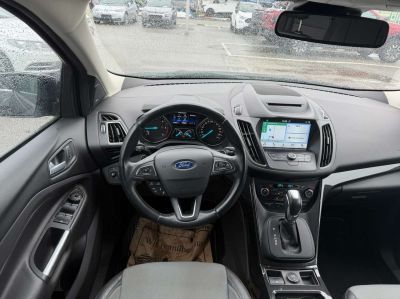 Ford Kuga Gebrauchtwagen