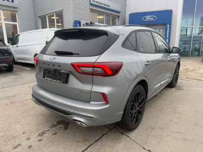 Ford Kuga Neuwagen