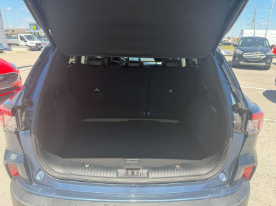 Ford Kuga Gebrauchtwagen Ford Kuga Gebrauchtwagen