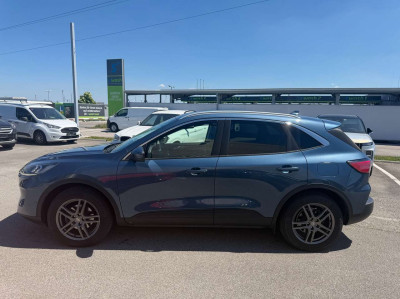 Ford Kuga Gebrauchtwagen Ford Kuga Gebrauchtwagen
