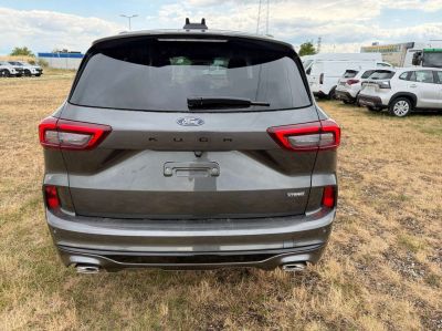 Ford Kuga Neuwagen