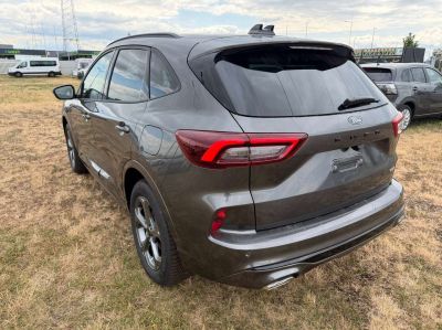 Ford Kuga Neuwagen