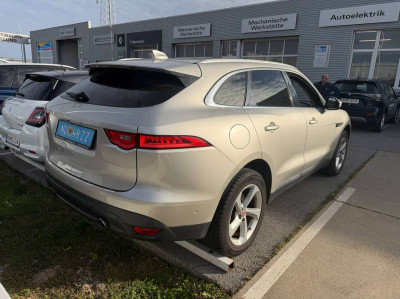 Jaguar F-Pace Gebrauchtwagen Jaguar F-Pace Gebrauchtwagen