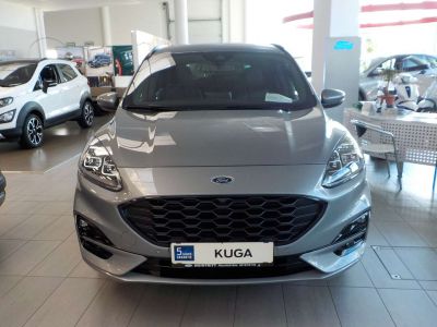 Ford Kuga Gebrauchtwagen