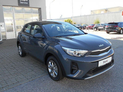 KIA Stonic Tageszulassung