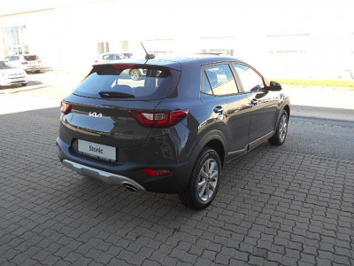 KIA Stonic Tageszulassung