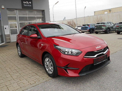 KIA Ceed Neuwagen