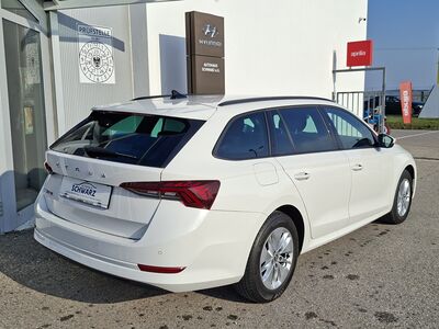 Skoda Octavia Gebrauchtwagen