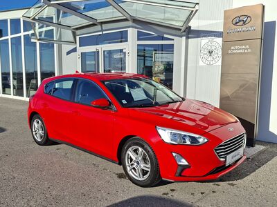 Ford Focus Gebrauchtwagen