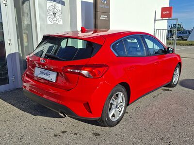 Ford Focus Gebrauchtwagen