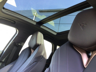 Cupra Terramar Gebrauchtwagen Cupra Terramar Gebrauchtwagen