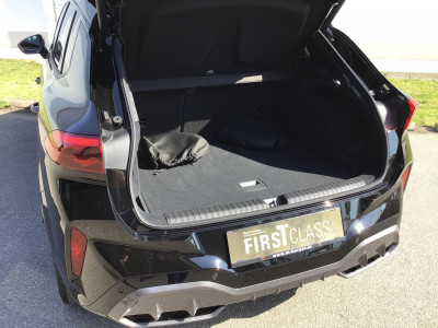Cupra Terramar Gebrauchtwagen Cupra Terramar Gebrauchtwagen