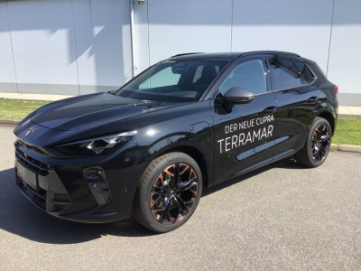 Cupra Terramar Gebrauchtwagen Cupra Terramar Gebrauchtwagen