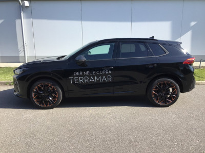 Cupra Terramar Gebrauchtwagen Cupra Terramar Gebrauchtwagen