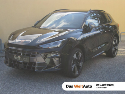 Cupra Terramar Gebrauchtwagen