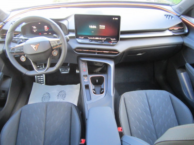 Cupra Terramar Gebrauchtwagen