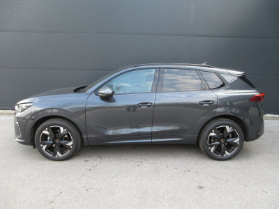Cupra Terramar Gebrauchtwagen Cupra Terramar Gebrauchtwagen