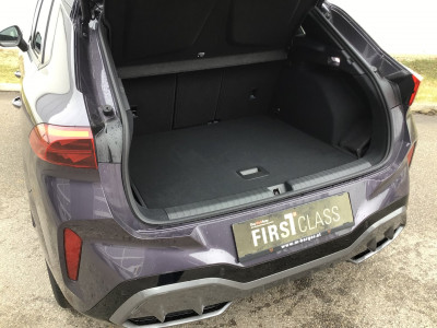 Cupra Terramar Gebrauchtwagen