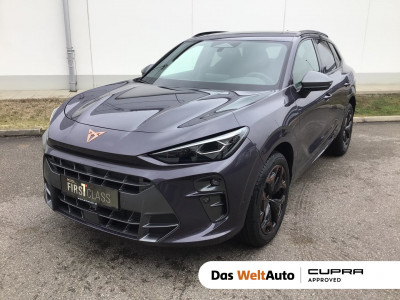 Cupra Terramar Gebrauchtwagen