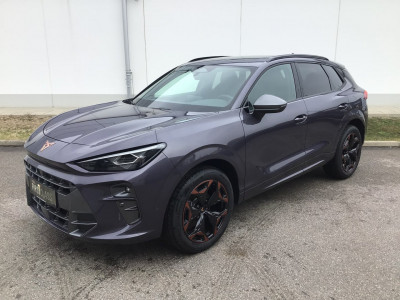Cupra Terramar Gebrauchtwagen