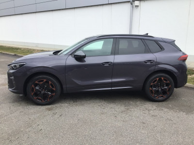 Cupra Terramar Gebrauchtwagen
