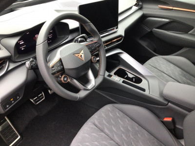 Cupra Terramar Gebrauchtwagen