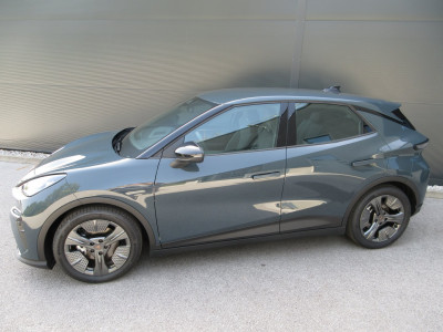 Cupra Raval Gebrauchtwagen