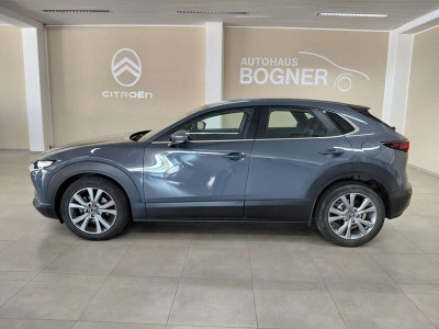 Mazda CX-30 Gebrauchtwagen Mazda CX-30 Gebrauchtwagen