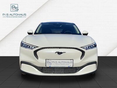 Ford Mustang Mach-E Gebrauchtwagen