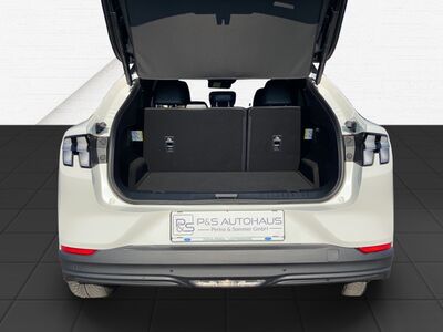 Ford Mustang Mach-E Gebrauchtwagen