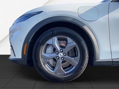 Ford Mustang Mach-E Gebrauchtwagen