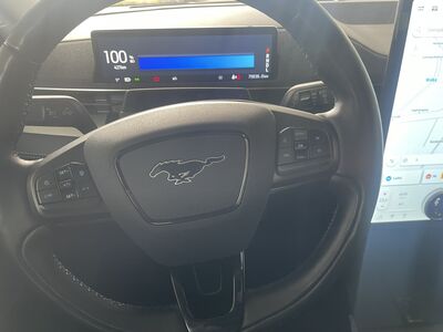 Ford Mustang Mach-E Gebrauchtwagen
