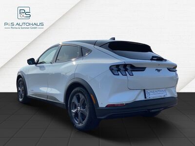 Ford Mustang Mach-E Gebrauchtwagen