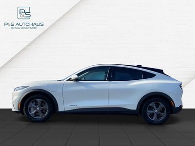 Ford Mustang Mach-E Gebrauchtwagen