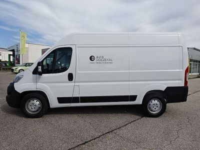 Opel Movano Vorführwagen