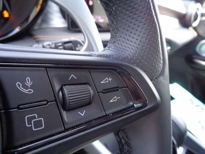 Alfa Romeo Tonale Vorführwagen