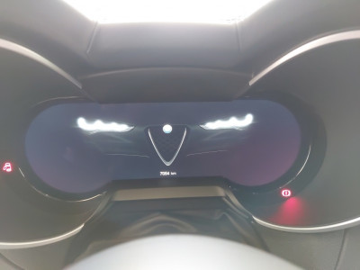 Alfa Romeo Stelvio Gebrauchtwagen