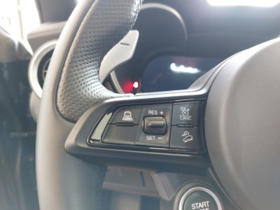 Alfa Romeo Stelvio Gebrauchtwagen
