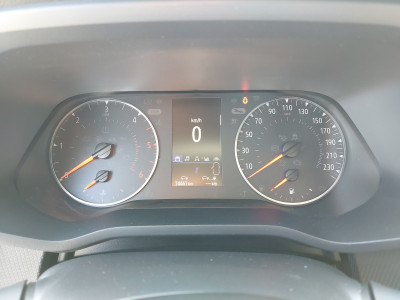 Renault Trafic Gebrauchtwagen