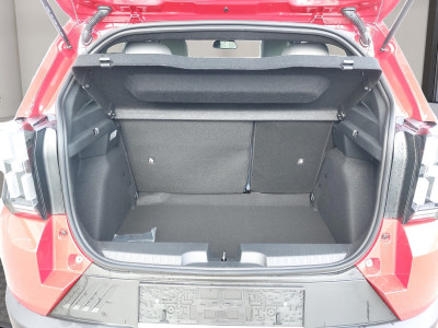 Fiat Grande Panda Neuwagen