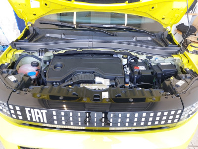 Fiat Grande Panda Neuwagen
