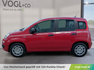 Fiat Pandina Neuwagen Fiat Pandina Neuwagen