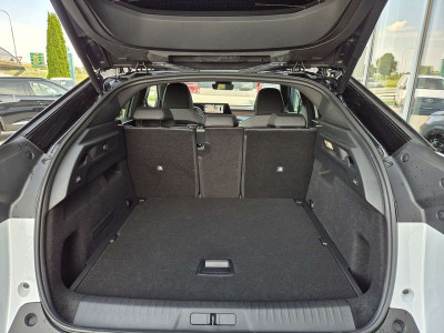 Peugeot 3008 Vorführwagen