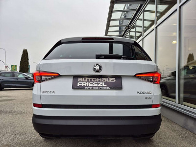 Skoda Kodiaq Gebrauchtwagen