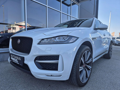 Jaguar F-Pace Gebrauchtwagen